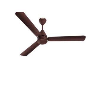 Buy Latest Table, Pedestal & Ceiling Fans online at best price